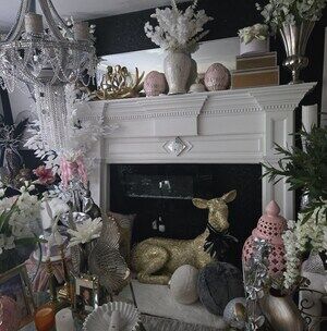 Meet your Posher, Toni